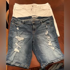 Torrid Bermuda shorts size 22